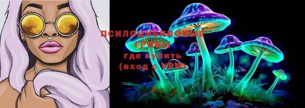 соль ск Балабаново
