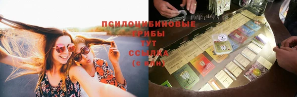 соль ск Балабаново