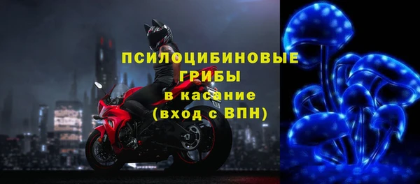 СК Балахна