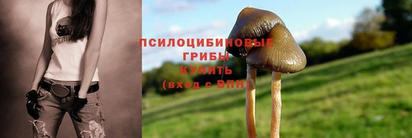 СК Балахна
